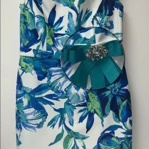 Joseph Ribkoff brand new dress. Never worn.